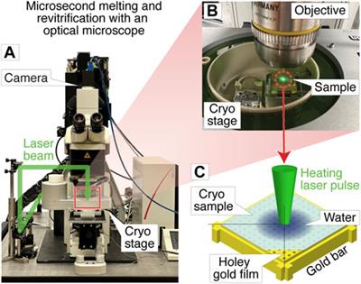 Microsecond melting and revitrification of cryo samples with a correlative light-electron microscopy approach